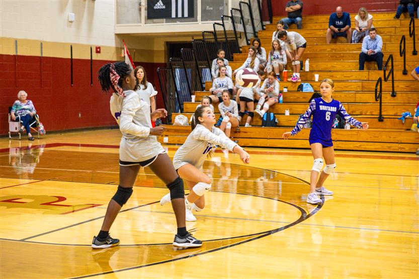 Student-athletes play volleyball